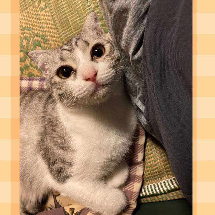 B492639a 112b 4609 a7dd 265c2a4d531c 1603145861404