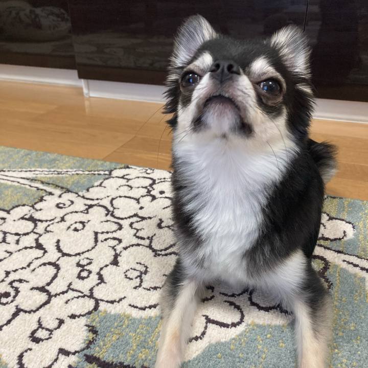 B49263f0 f166 4a7e b256 ff40e93ab550 1626580211870