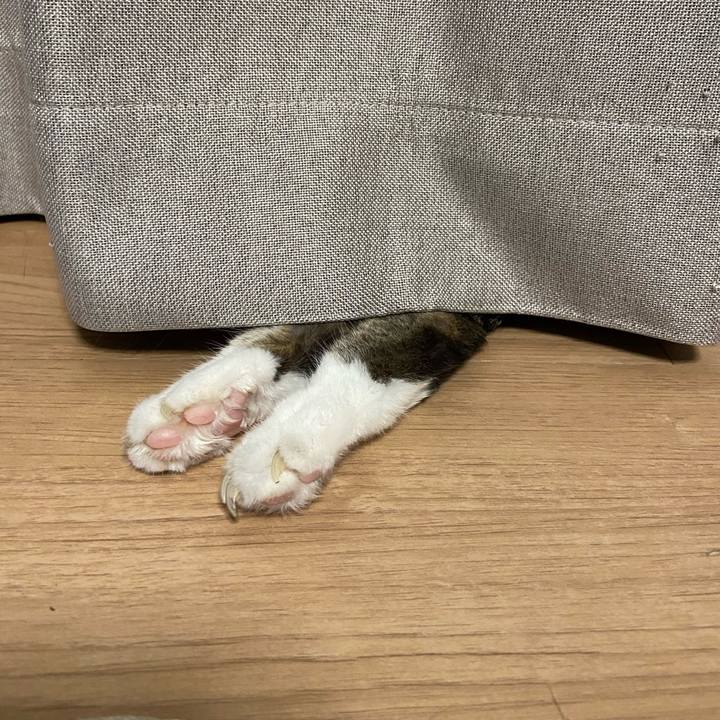 B49264ff 33bf 4fc7 ab45 bd2267b0de6f 1590581977355