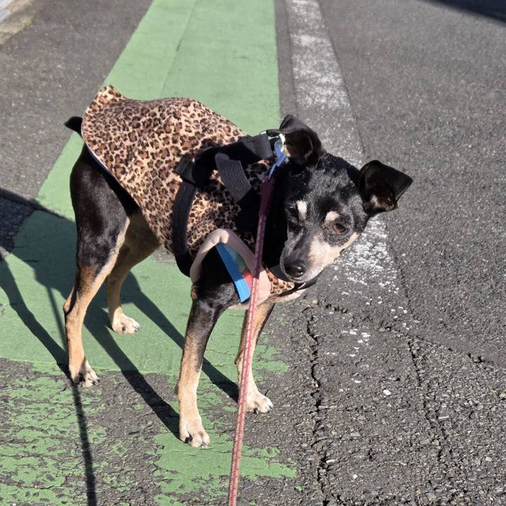 B49275c1 33bf 4526 be46 100dc1876c82 1764564383916