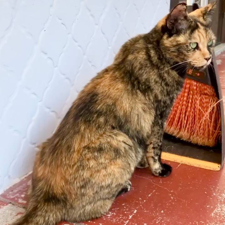 B492a8c0 3f73 40ec b86e 07e1a267b8cb 1728537109330