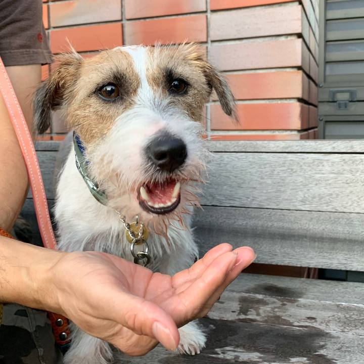 B49309bd c3e2 4631 bb47 d6325a651bb4 1596368312887