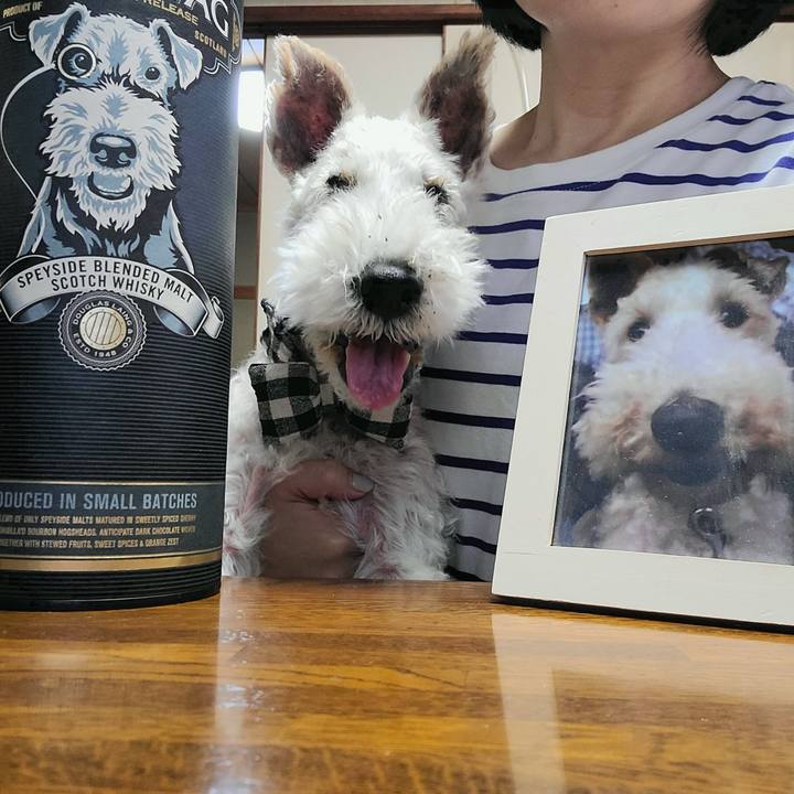 B493101e 8cc8 407f 850b 0489cbd19510 1696159684747