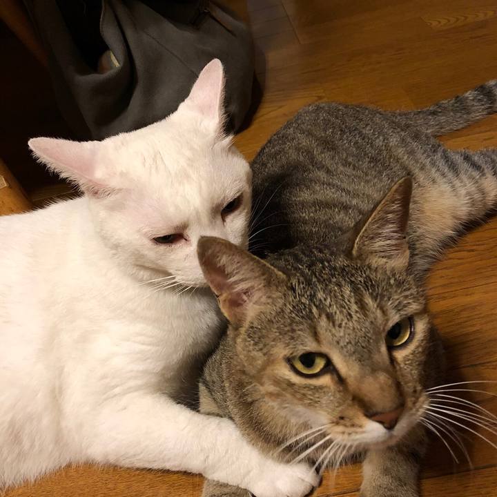 B493113c 8a79 434a b5b9 04dffaa767c8 1534077778699