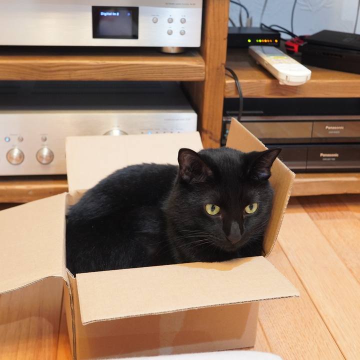 B49320e8 6432 41f7 ba53 e9fbd48f630f 1597848854829