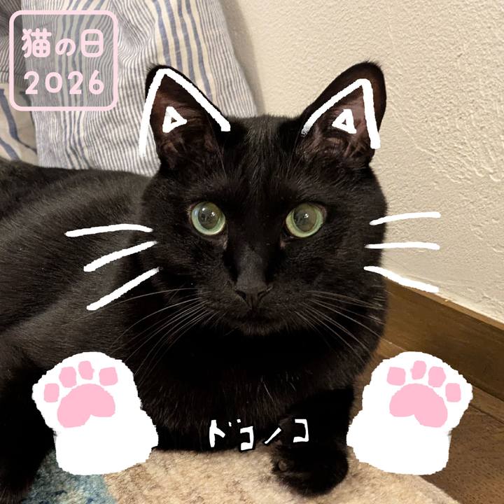 B49341be 276f 4e15 ab1e 9765d626d9c3 1771745882604