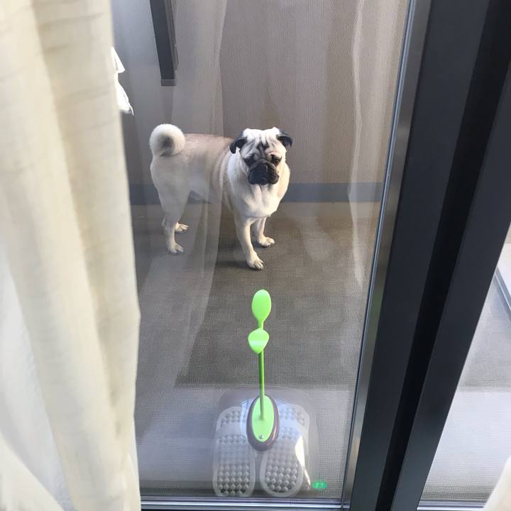 B4935b3f cf9c 4a98 9242 9f7522ad8b80 1548375772174