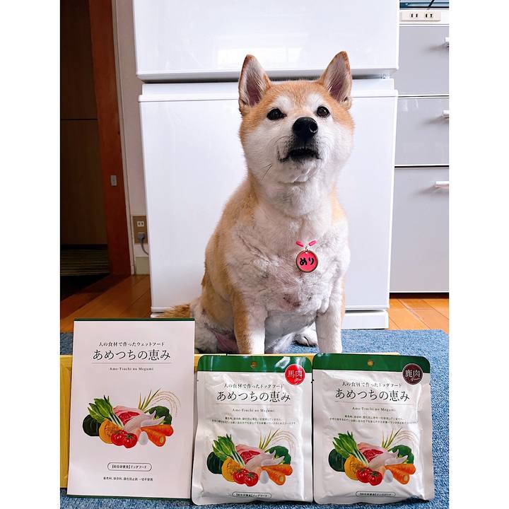 B49390af 1d5c 4c9f a13c 660d4e123e40 1718505550944