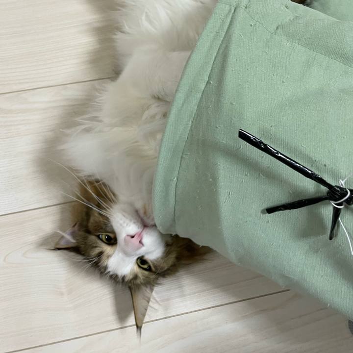 B49396a1 f618 41da a5e4 316f7ea8ecb5 1671486003490