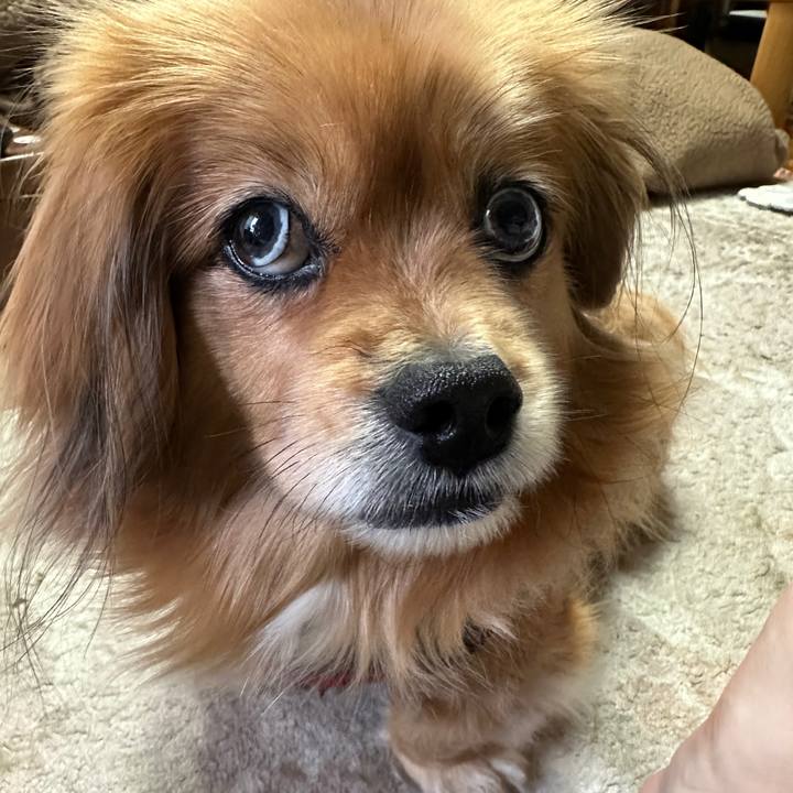 B493dc61 c7e6 49d4 92b7 69b235133e32 1710890097848