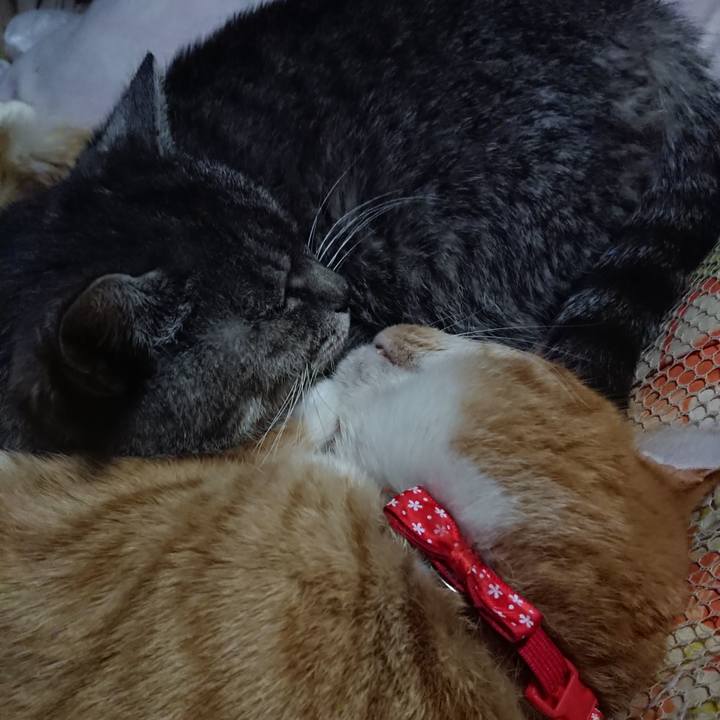 B493e765 a24d 49ba 9965 3af3c2128bcf 1577190095488