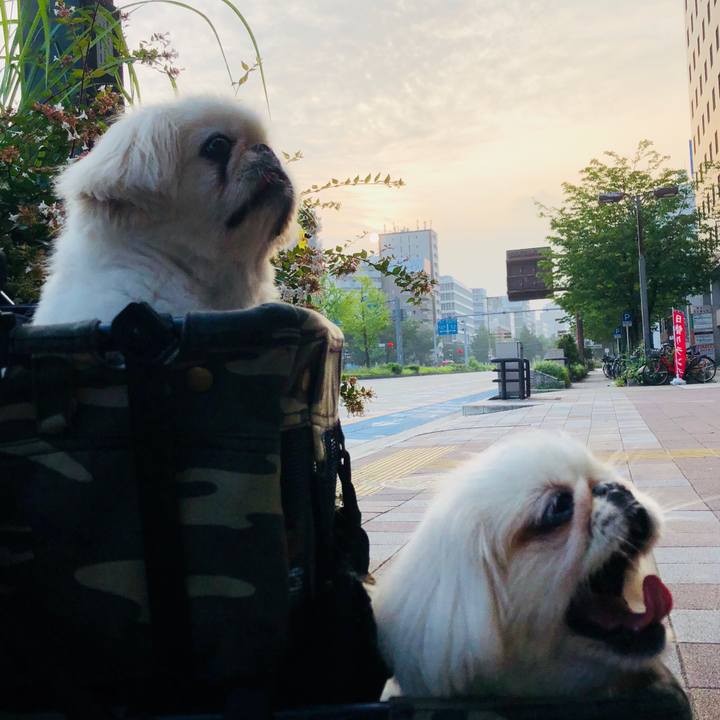 B4940d69 d306 47ea bf18 1912af9306d9 1596753251928