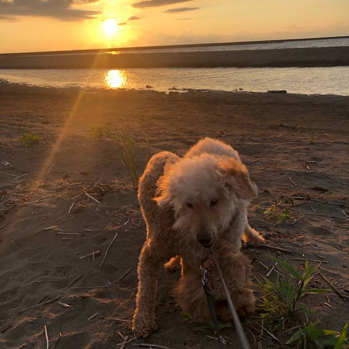 B4943a22 93ea 4d3d b14c 25332296f9d1 1723364882497