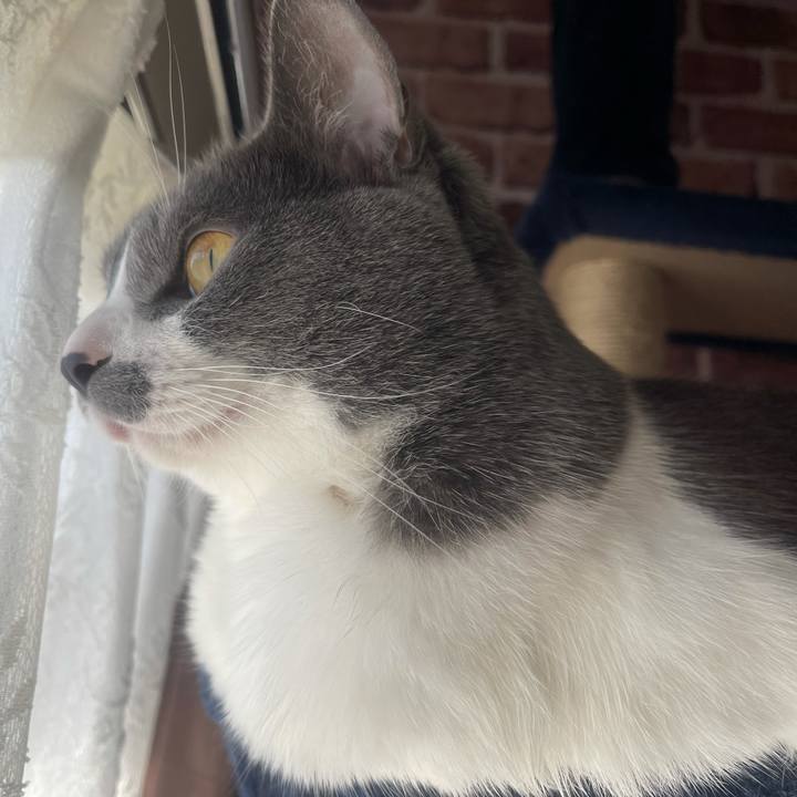 B494498d 3fd4 4805 b9cd c6101dd288a8 1645745463795