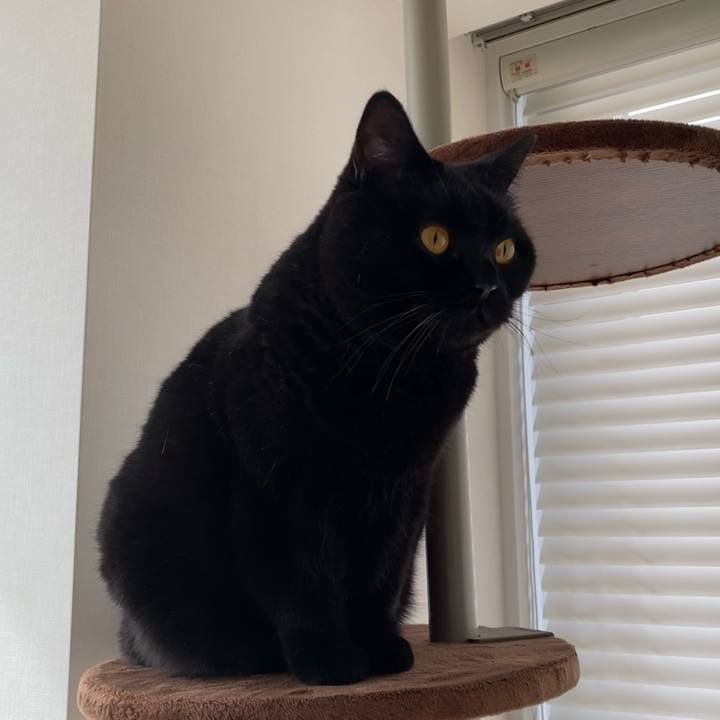 B4947c04 871c 41f0 9b8f 3d762155d8cd 1637738369241