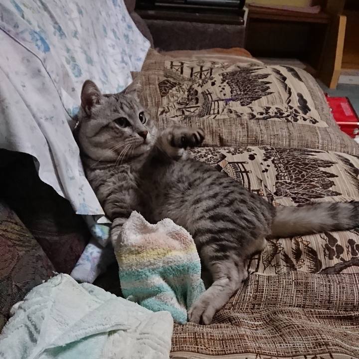 B494cea6 7b2b 4ff3 8f98 6698c67109c2 1547129104180