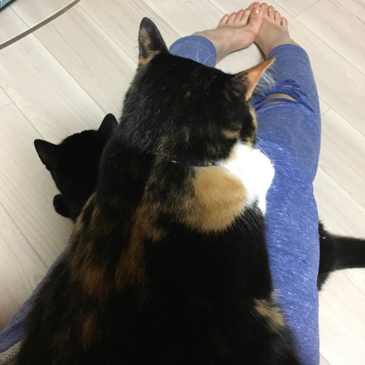 B494cea6 f280 4ebd 95da a9728837a753 1513075255297