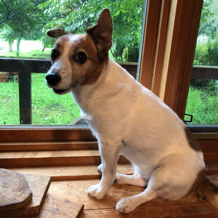 B494e04b e88e 4d44 9291 e98fecfb5a0c 1538449800907