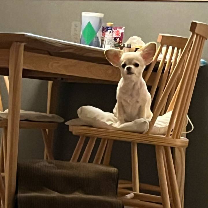 B494e1cf 5a92 4ea9 979b 439934fdae92 1756301025978