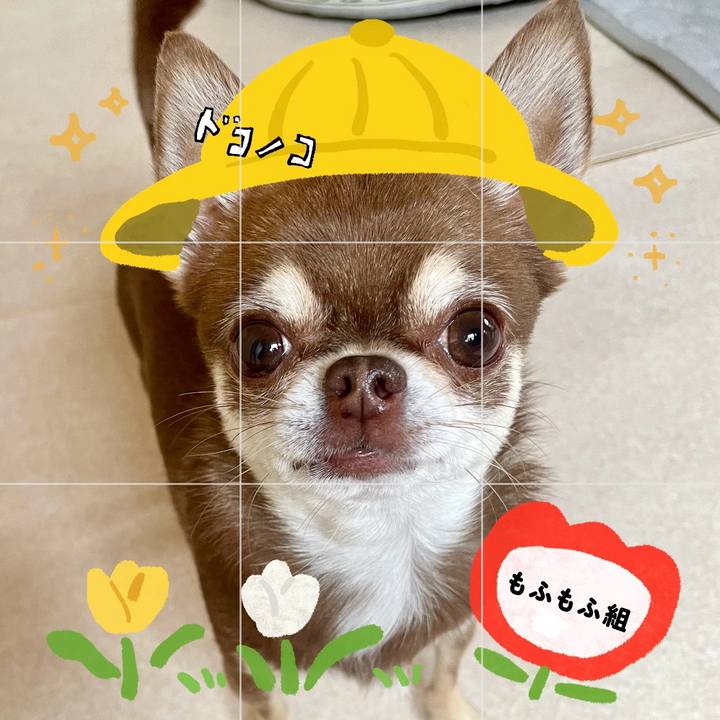 B4953a69 239b 4e88 8f72 13fa1a0e836d 1712216139184