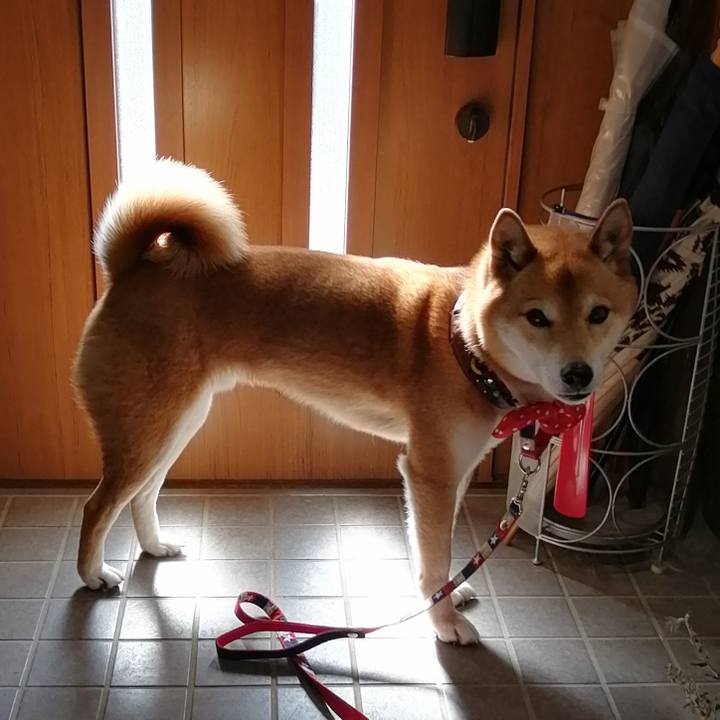 B495fa17 d956 441c a126 2dbfd59294ce 1645076174881