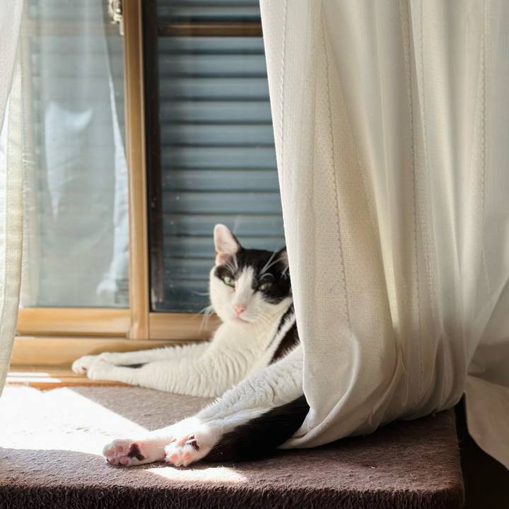 B4960339 4f25 4fc7 87bf f3f0f09ee61e 1696122864454