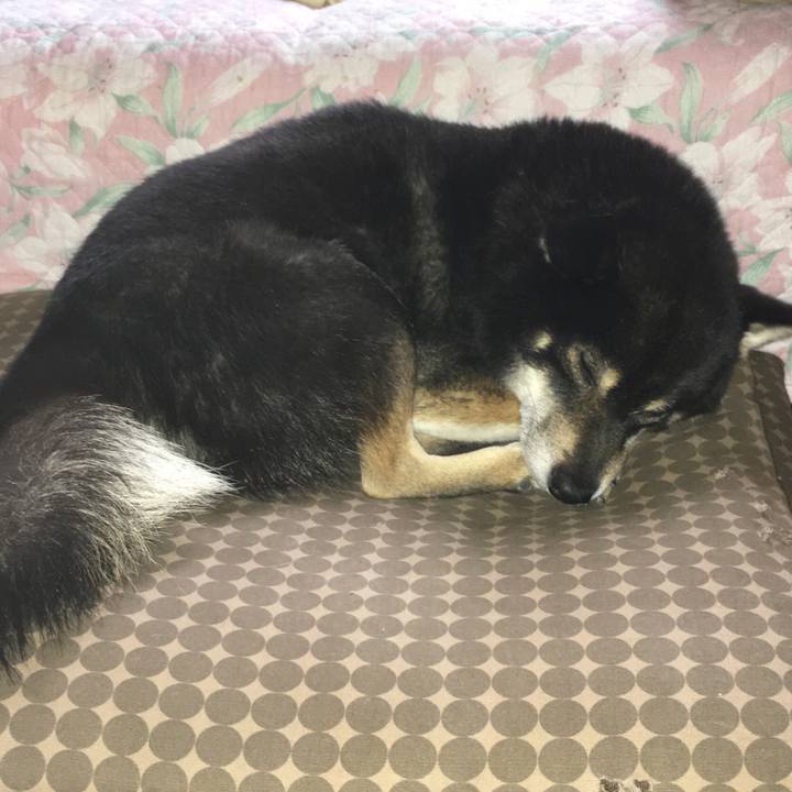 B496125f 646e 41d5 9253 5c4979e38f94 1514199848514