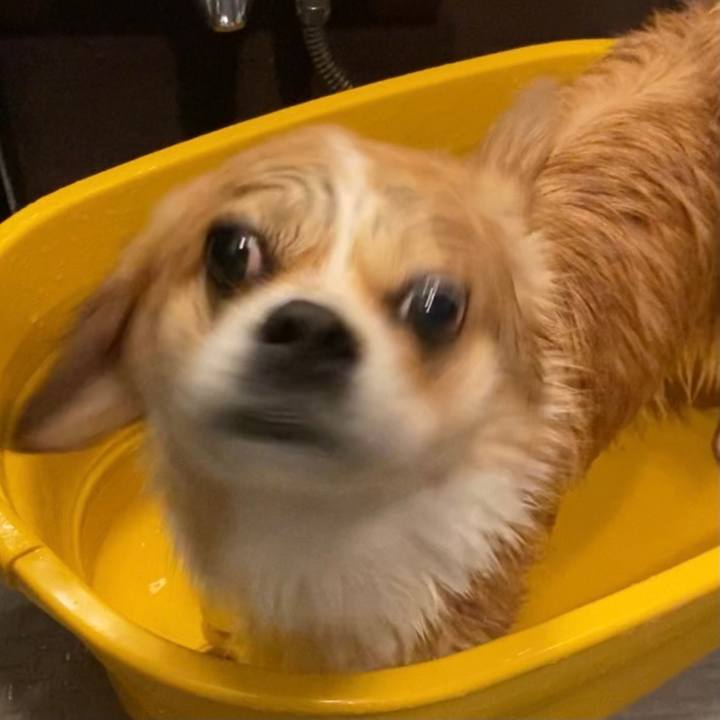 B4963000 46c6 4aab b880 b989b392c331 1642482111501