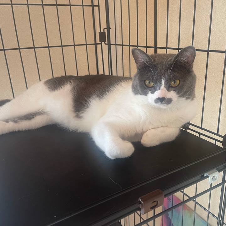 B4963ac3 f2d9 482a 95b7 b3fda5103480 1633477939690