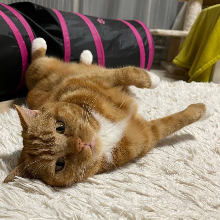 B496484d 2a0e 4d20 9cf0 e536dbd20e19 1641555747685