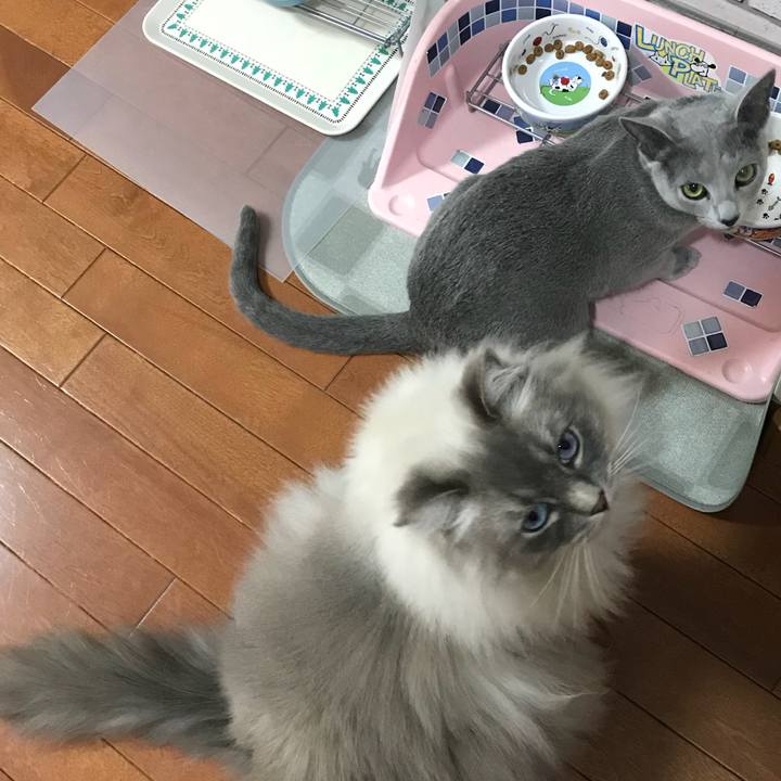 B49679aa 1435 4f5d bdcd 6848859c7287 1521800980041