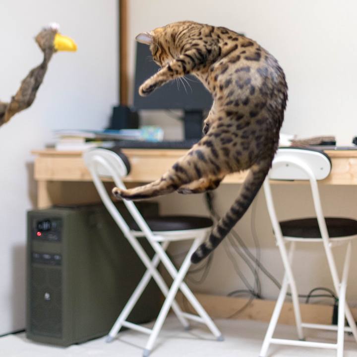 B4968f60 e0b8 4be3 89c2 d5bff1d181a6 1517925076118