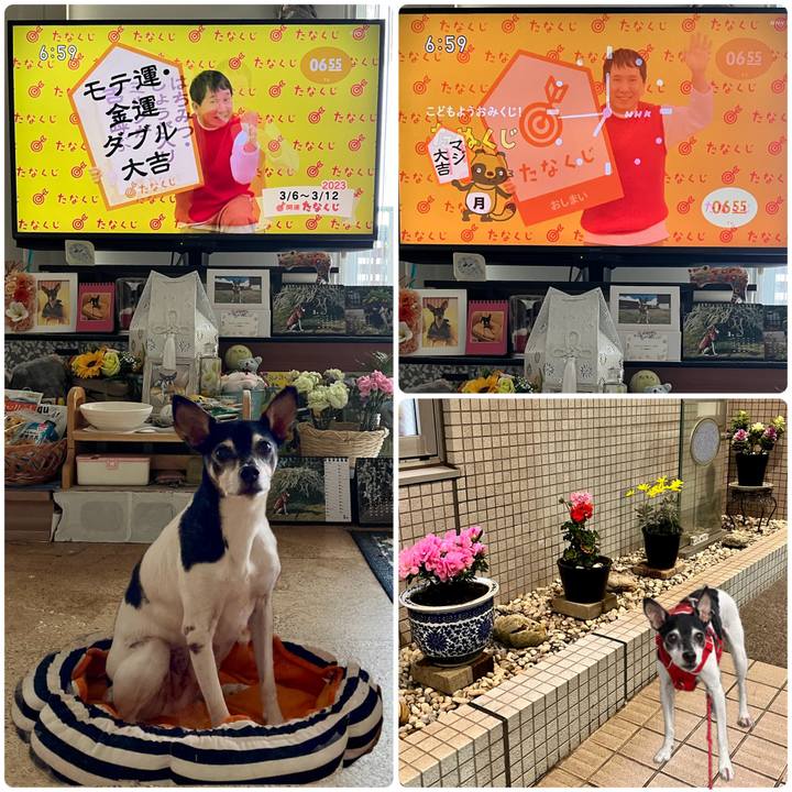 B496adf1 cad3 4dcb 8652 3ec5abe00d8e 1678055409077