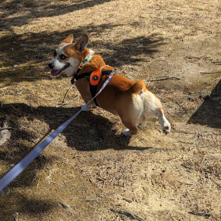 B497446e 1afb 4775 b406 ce334ba0be75 1706013796374