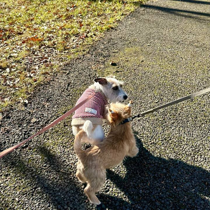 B49748ab 44b8 43bc b4c2 258ef46d2f9e 1705240555672