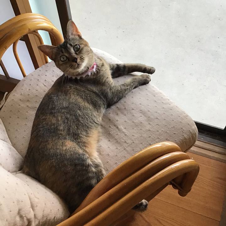 B4975c21 6ac0 4bbc a2d4 812dda594f71 1597635455006