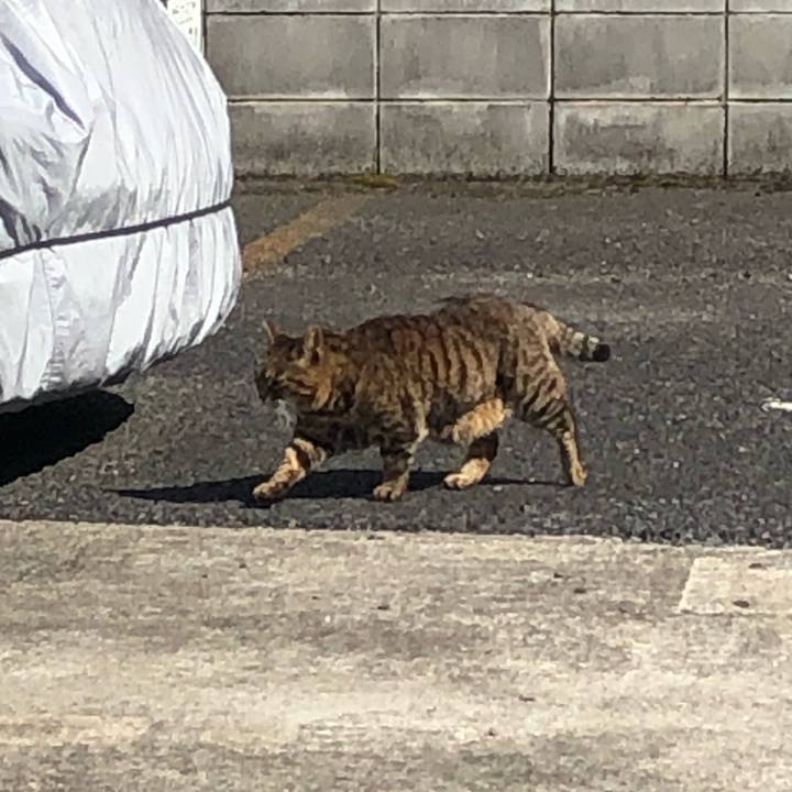 B4977bbe 4369 4d7d aea7 9f4ece940cc2 1647722555920