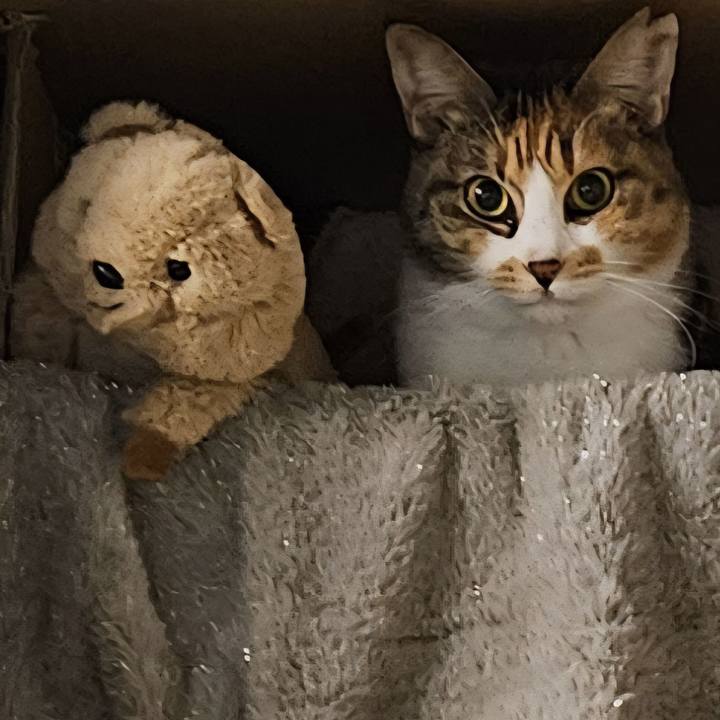 B497905d 71ed 4e95 abb1 d6d8ec5cc27f 1770123750831