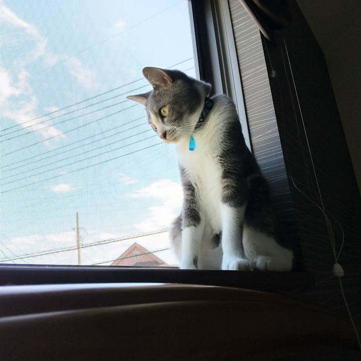 B497a97f f1b8 4a8c 9565 1844c3de0390 1599524215416