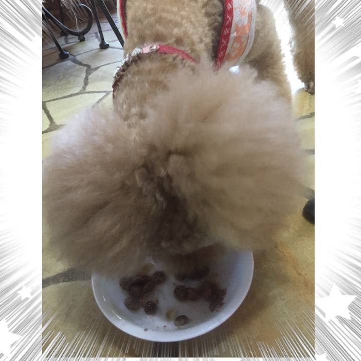 B497afec 3efb 465c b8e4 7b7d79957497 1527840030338