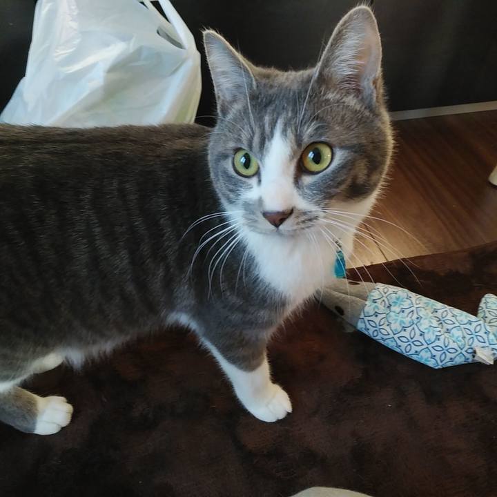 B497d63e 4c49 4d7b b630 fa3720ceed0d 1583014006916