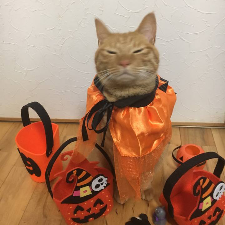 B4981dbf b8bf 4f6c b656 85fcd0468acc 1509457182813