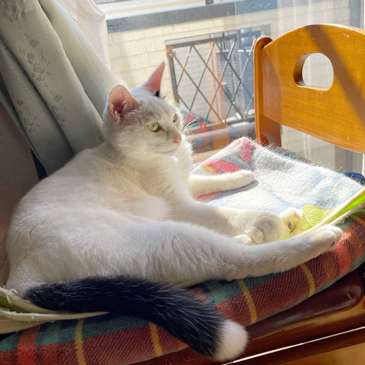 B4983a53 116e 4dc9 af68 3057eccc410a 1763097976650