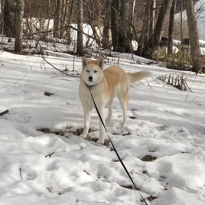 B4983e31 78f3 4c3a b8b1 f1399fa57d12 1676794758326