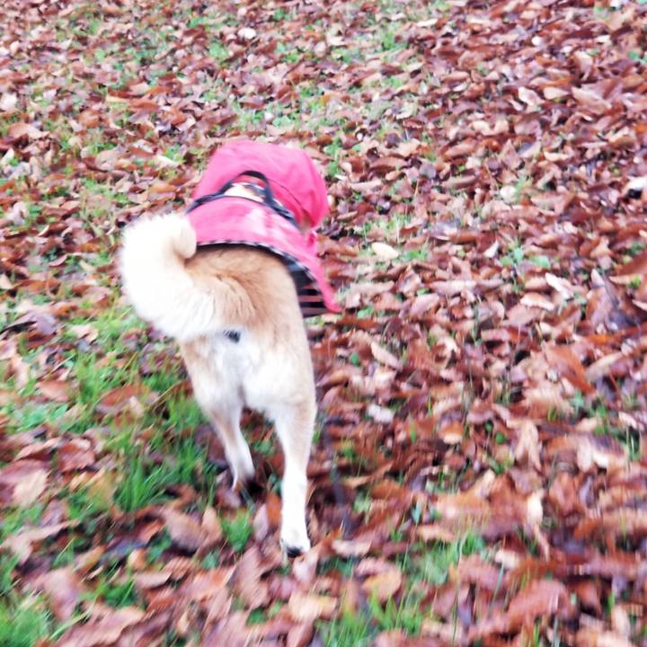 B4984680 5fe1 44c5 ac17 f872270c2384 1732862766290