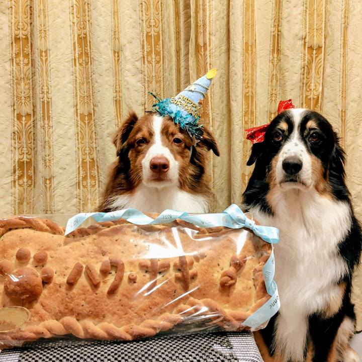 B49891dd dc0f 4010 8026 c2580361142d 1754824614349