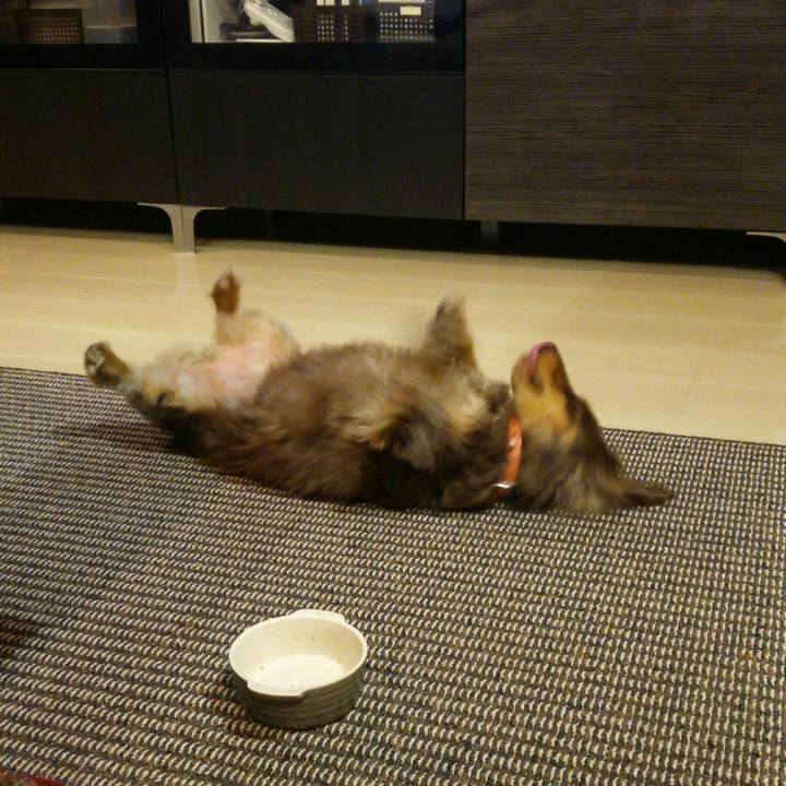 B498d615 1d24 4253 8273 3a091bf0d95d 1516797822529