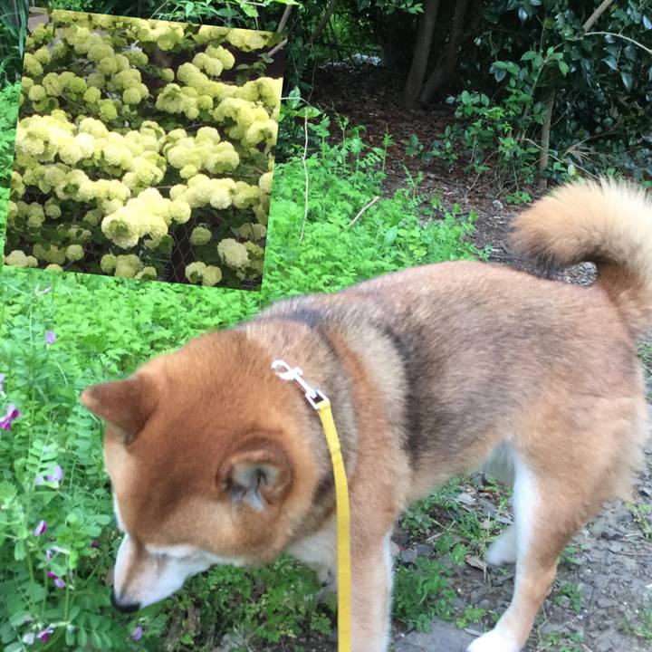 B498ec50 77fd 4f11 9165 52f18d345b33 1587110209959