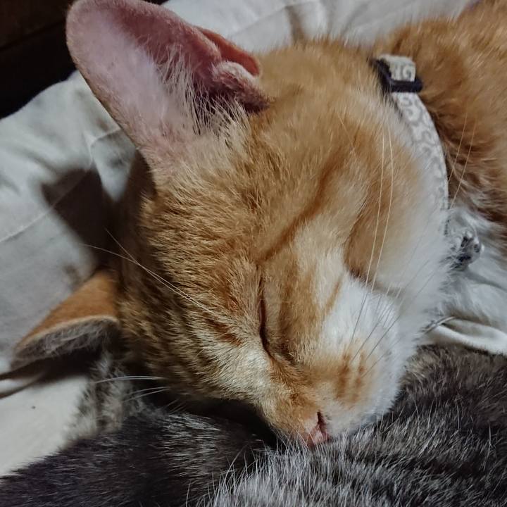 B4991575 3cce 47f8 9aa5 3943d2c13a21 1591277398392