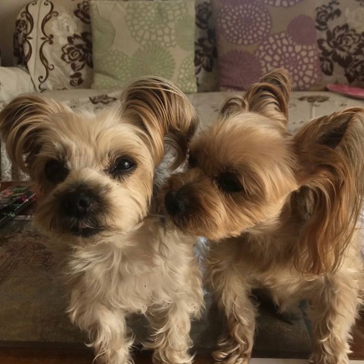 B49921ae cbf5 4beb bbcb fdceb4b0c19f 1554890421317